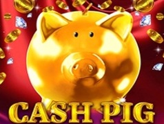 Cash Pig